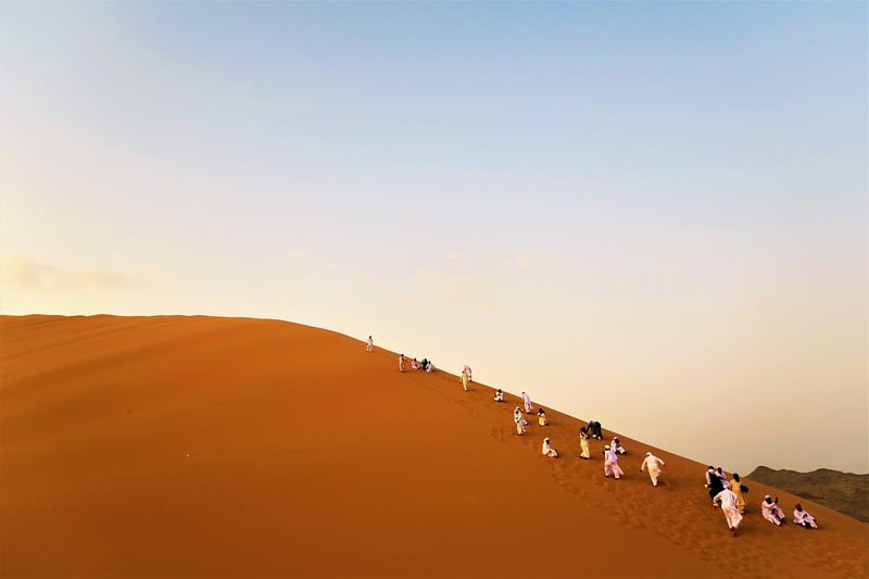 Desert Sand Dunes